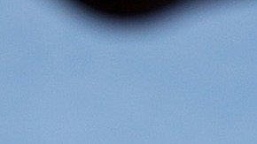 La comunidad haitiana en Miami se siente "traicionada" por Biden luego de los acontecimientos recientes en Texas donde llegaron más de 15,000 indocumentados la semana pasada.