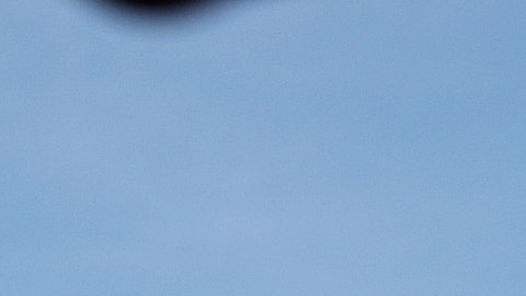 La comunidad haitiana en Miami se siente "traicionada" por Biden luego de los acontecimientos recientes en Texas donde llegaron más de 15,000 indocumentados la semana pasada.