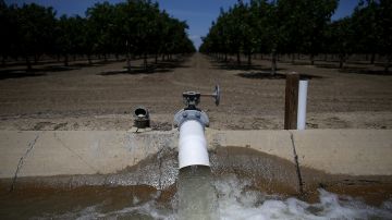 El gobierno de California pidió a los residentes reducir el consumo de agua ante la sequía en el estado.