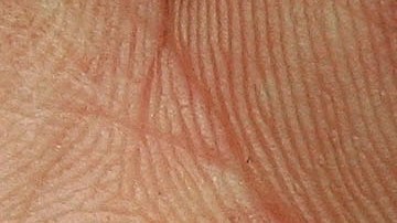 Falsificadora de cupones condenada a 12 años-GettyImages-53028099.jpeg