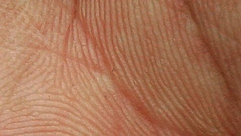 Falsificadora de cupones condenada a 12 años-GettyImages-53028099.jpeg