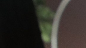 CHICAGO, IL - MAY 27: Crime scene tape is stretched around the front of a home where a man was shot on May 28, 2017 in Chicago, Illinois. Chicago police have added more than 1,000 officers to the streets over the Memorial Day weekend, hoping to put a dent in crime, during what is typically one of the more violent weekends of the year. In 2016, 6 people were killed and another 65 were wounded by gun violence over the Memorial Day weekend. (Photo by Scott Olson/Getty Images)