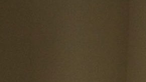 Solo 65% de los hispanos tiene Internet de banda ancha-GettyImages-80157388.jpg