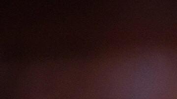 (FILES) This file picture taken on October 8, 2007 in London shows a cannabis plant. Britain is to raise the legal classification of cannabis due to the growing prevalence of the potent skunk form of the drug, despite expert advice against doing so, the interior minister said Wednesday May 7, 2008. Home Secretary Jacqui Smith told parliament she would press for cannabis to be re-classified in law as a Class B drug compared with its current, less serious Class C classification. AFP PHOTO/Leon Neal/FILES (Photo credit should read Leon Neal/AFP via Getty Images)