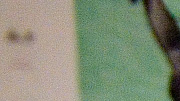 Cheque de estímulo y las ayudas al desempleo ayudaron a reducir la pobreza en Estados Unidos en 2020-GettyImages-810276261.jpg