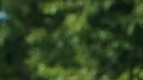 Ayuntamiento de Los Ángeles aprobó plan para disuadir las carreras callejeras clandestinas