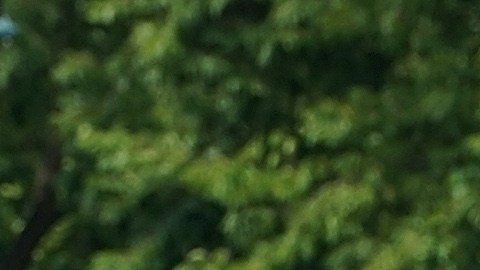 Ayuntamiento de Los Ángeles aprobó plan para disuadir las carreras callejeras clandestinas