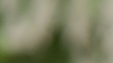 La estrella de Nickelodeon Josh Peck se une al elenco de “How I Met Your Father”