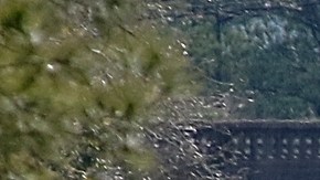 Autoridades reportaron más de 50 lesionados al descarrilarse el tren de Amtrak.