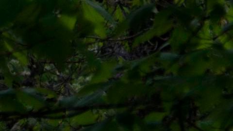 Tres hombres murieron en un accidente aéreo en Virginia Occidental.