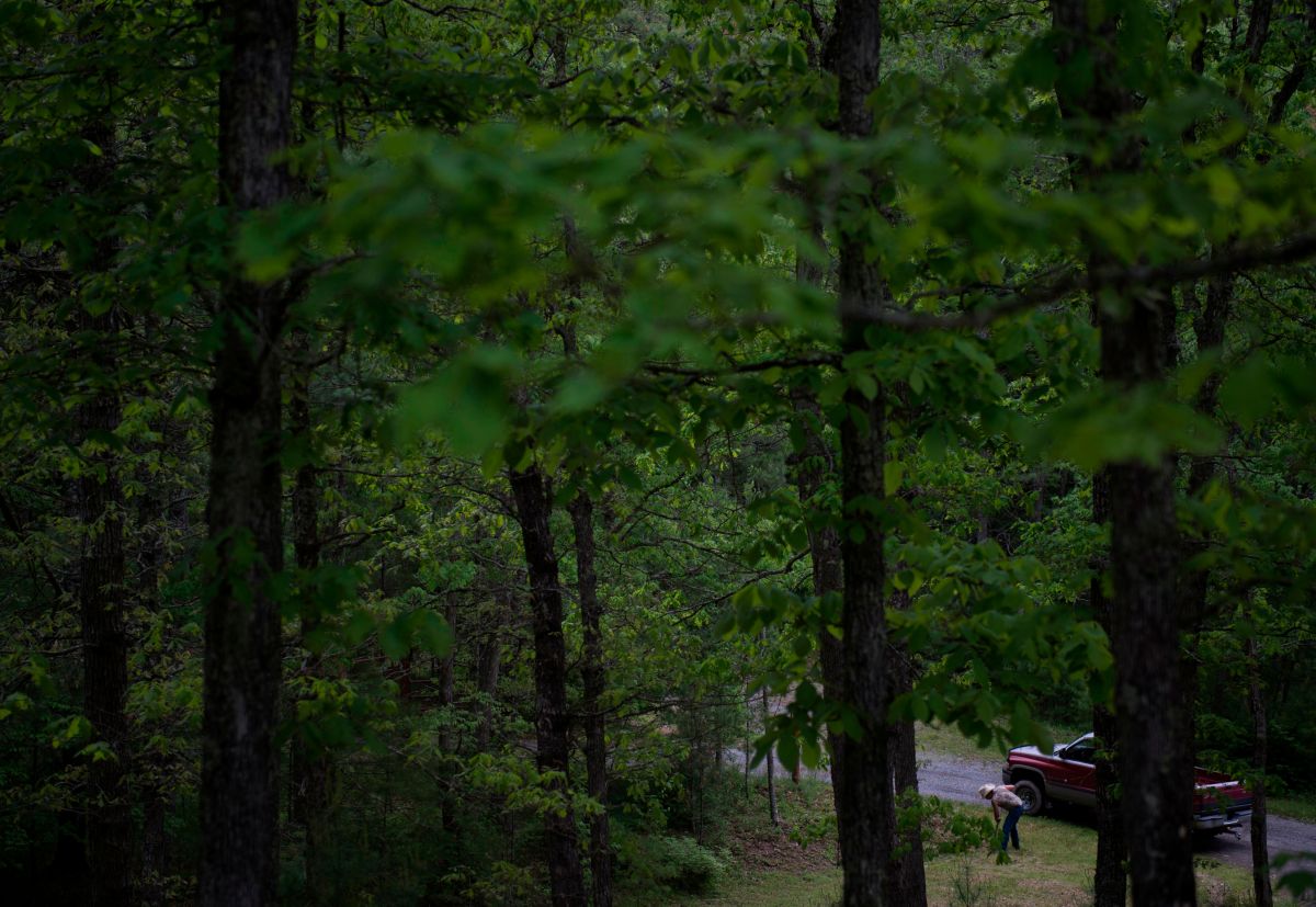 West Virginia plane crash kills three American Post