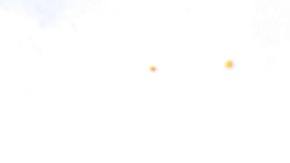 Hamburguesa de pollo