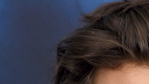 Harry Styles y Olivia Wilde.