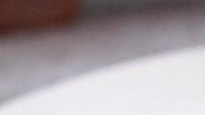 Huevo-arándanos y aguacate