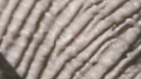 Ingrid Valdez recibió su vacuna contra el covid19 poco después de cumplir los 12 años. (Suministrada)