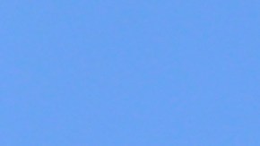 “Es tan inmoral que esta administración sea tan indiferente ante el sufrimiento...", dijeron algunos manifestantes.