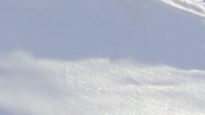 Serie de protestas contra el sistema carcelario en EE.UU. (Jorge Macías)