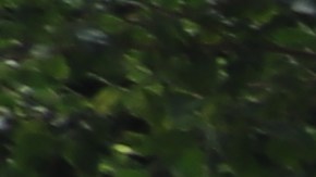 El contrato para más de 20,000 conserjes en California expiró el 31 de agosto.