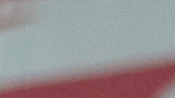 Raúl Gudiño Chivas