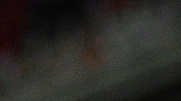 Águilas del América