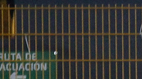 Imago-1072468