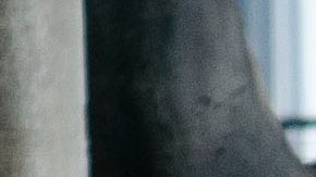 El delantero de las Chivas puede ser la carta de gol para el Clásico Nacional