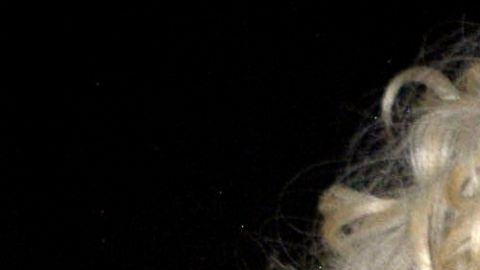 Jenny García y su contagio por Covid-19