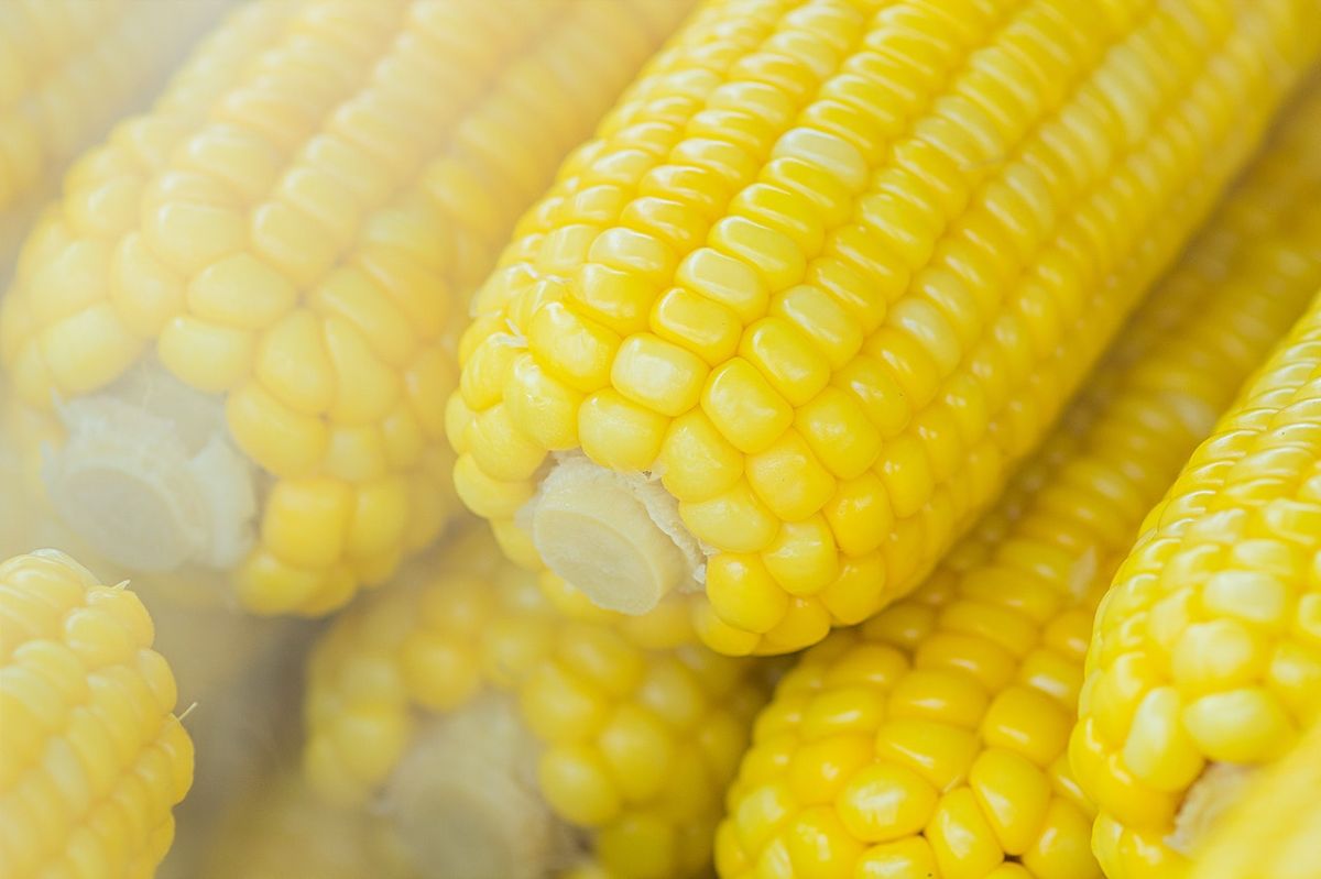 Benefits that corn offers your body