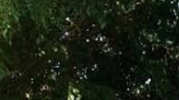 Doña Cuquita Abarca, esposa de Vicente Fernández, es hospitalizada