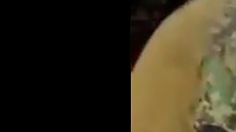 Marino con perrito entra en llanto