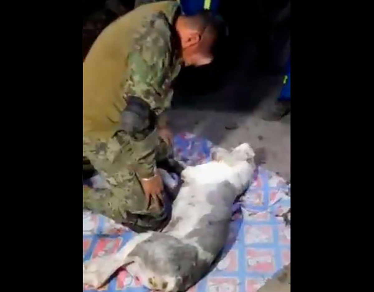 VIDEO: Mexican sailor cries after trying to save the life of a puppy rescued from the collapse of the hill in Mexico