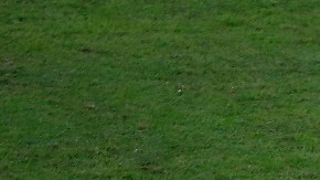 Messi viene de realizar un partido dinámico en Venezuela y recibió un duro golpe.