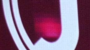 Michelle Rodríguez manda mensaje a Aislinn Derbez y Regina Blandón