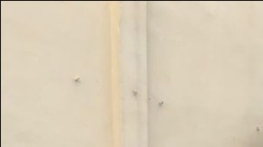 Más de 300 migrantes fueron hallados en una bodega por agentes federales mexicanos