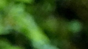 Eileen Davidson regresa a 'Days of our Lives' en especial de Peacock.