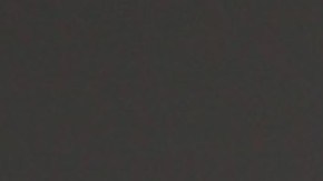 Ninel Conde | Mezcalent.