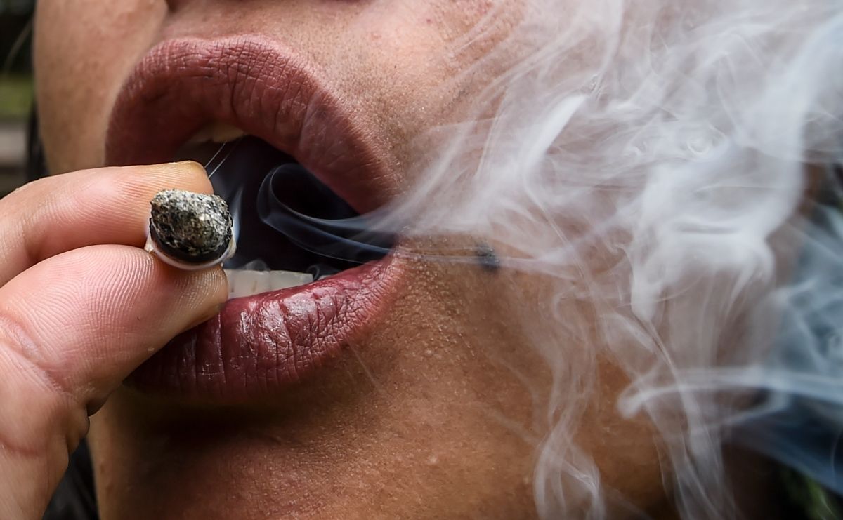 New record: 44% of students claim to have used marijuana in the past year, according to study