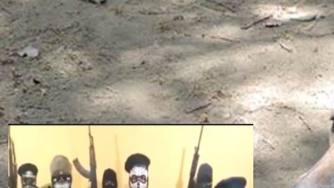 Pay de Limón, el perrito torturado por narcos del Cártel de los Zetas que sobrevivió a deslave en México