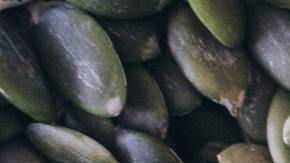 Semillas de calabaza