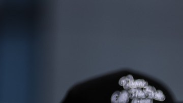 Caleb Plant acusó a Saúl Álvarez (izq.) de hacer trampa.