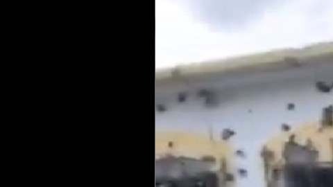 Sicarios matan y se llevan cuerpos de familia de narco del Cártel del Golfo, según reportes