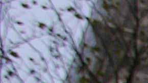 Inmigrantes que limpiaron edificios después del 11/9 buscan la residencia como recompensa