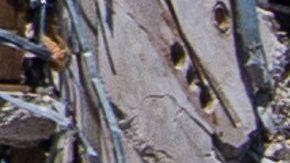 Tres ladrones cibernéticos arrestados por robar identidades de edificio colapsado en Miami