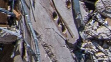 Tres ladrones cibernéticos arrestados por robar identidades de edificio colapsado en Miami