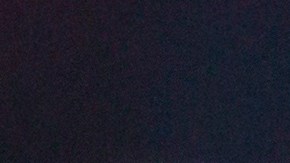 Tyler Adams con la selección de Estados Unidos.