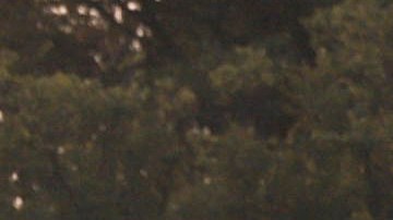 Uno de cada 500 residentes de EE.UU. ha fallecido por COVID-19