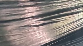 VIDEO: Hallan narcosubmarino de 82 pies de largo y capaz de transportar 2 toneladas de droga