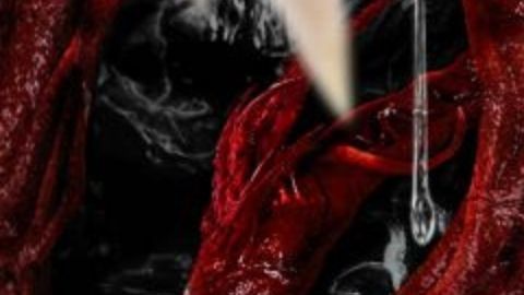 Venom: Let There Be Carnage adelanta su estreno