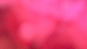 Yolanda Andrade confirmó su distanciamiento con Kate del Castillo