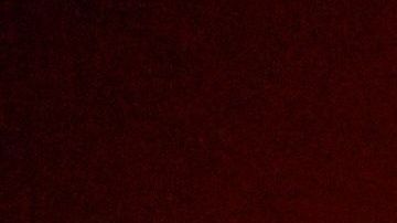 El incendio  Zogg en el condado de Shasta, California, en septiembre de 2020.